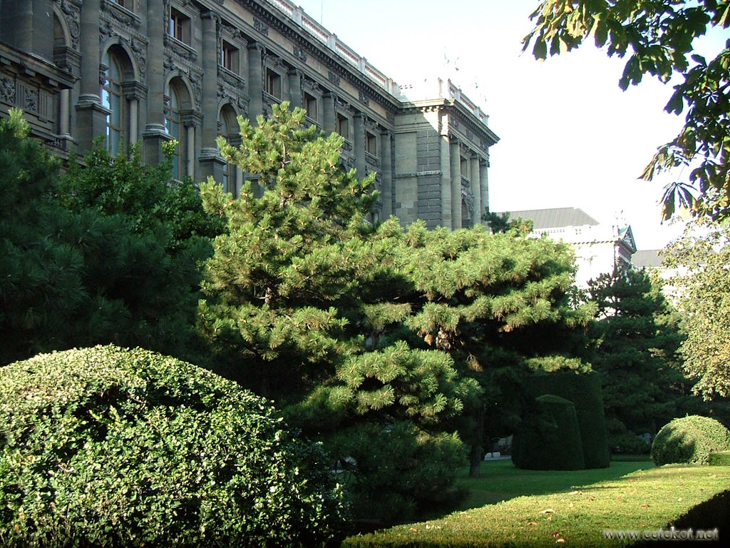 Улицы Вены, хвойные деревья у музея естествознания.
