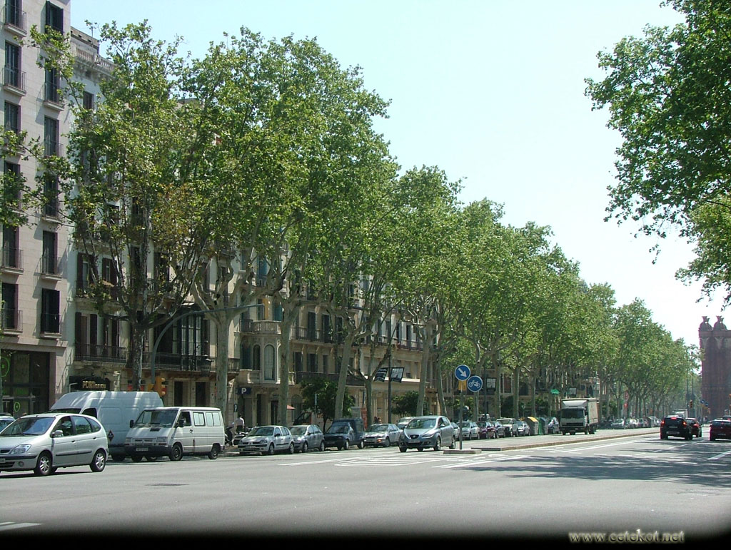 Барселона. Passeig de Sant Joan, зелень вдоль домов.