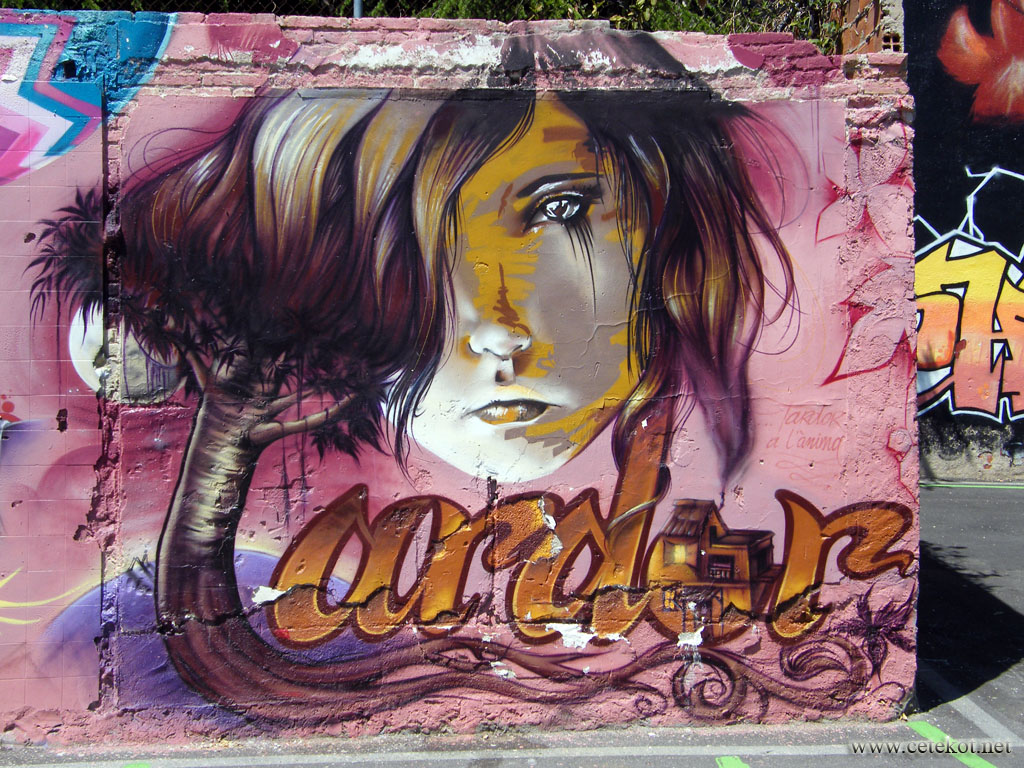 Барселона, граффити: удачная подпорка для лица.