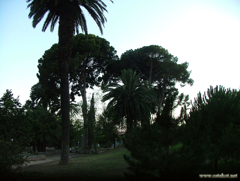 Барселона: парк в Sant Ildefons.