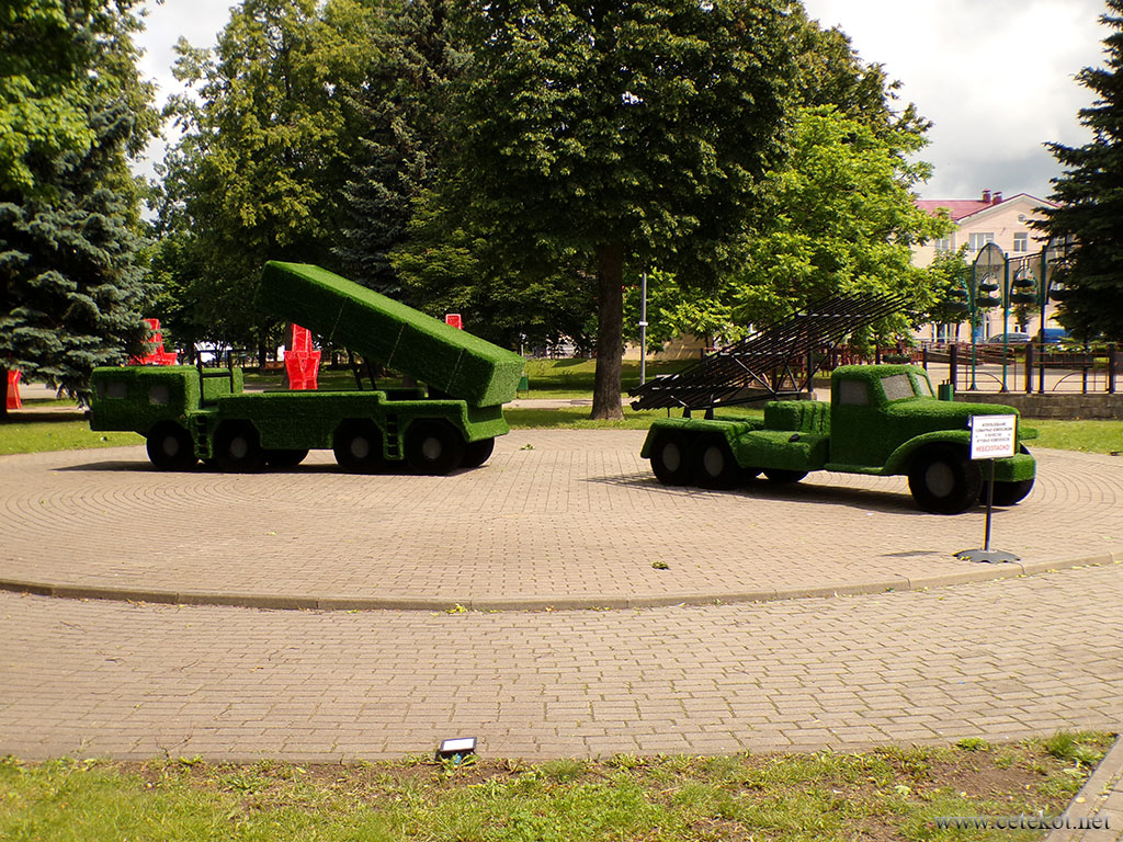 Орша: топиарные композиции 