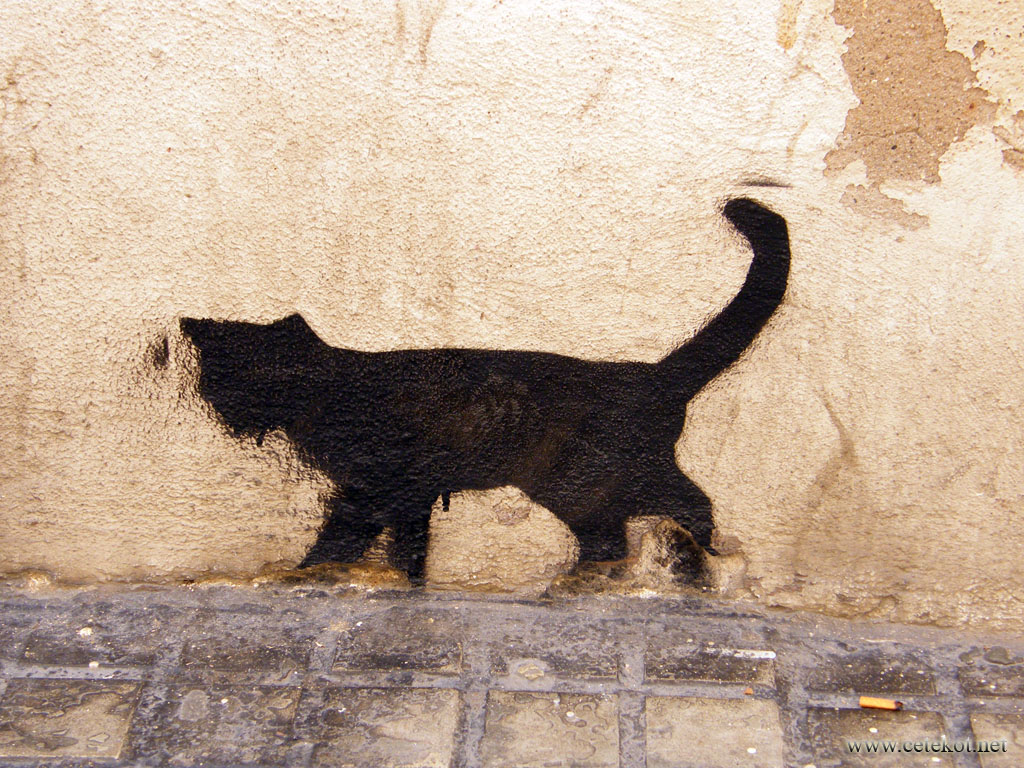Барселона: трафаретный кот.