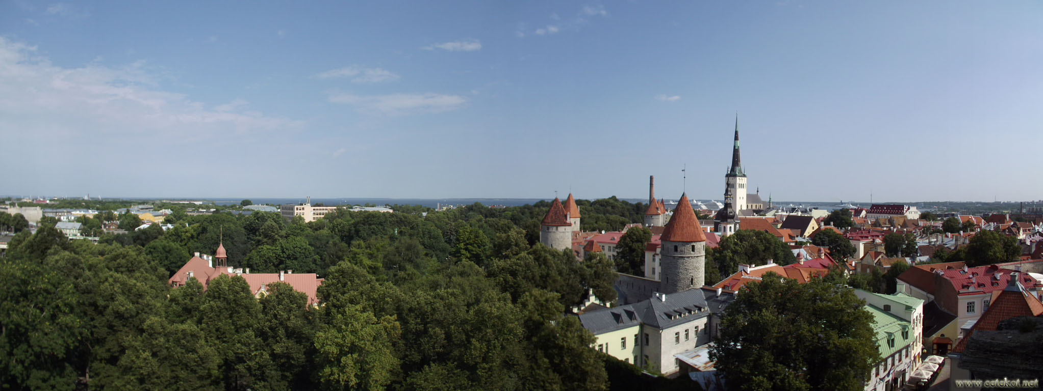 Таллин: панорама города.