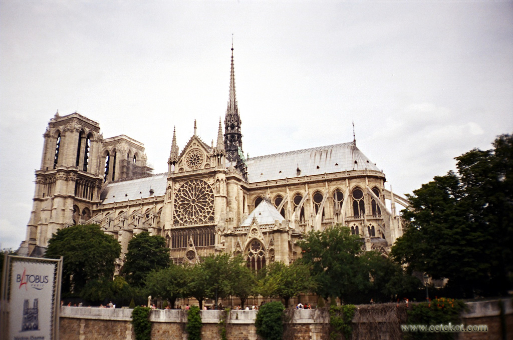 Париж: собор Парижской Богоматери. Вид сбоку.
