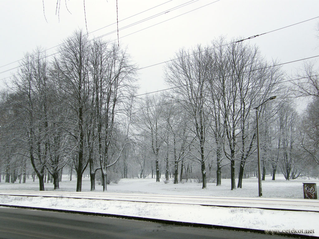 Новогодний снег, 31.12.2007