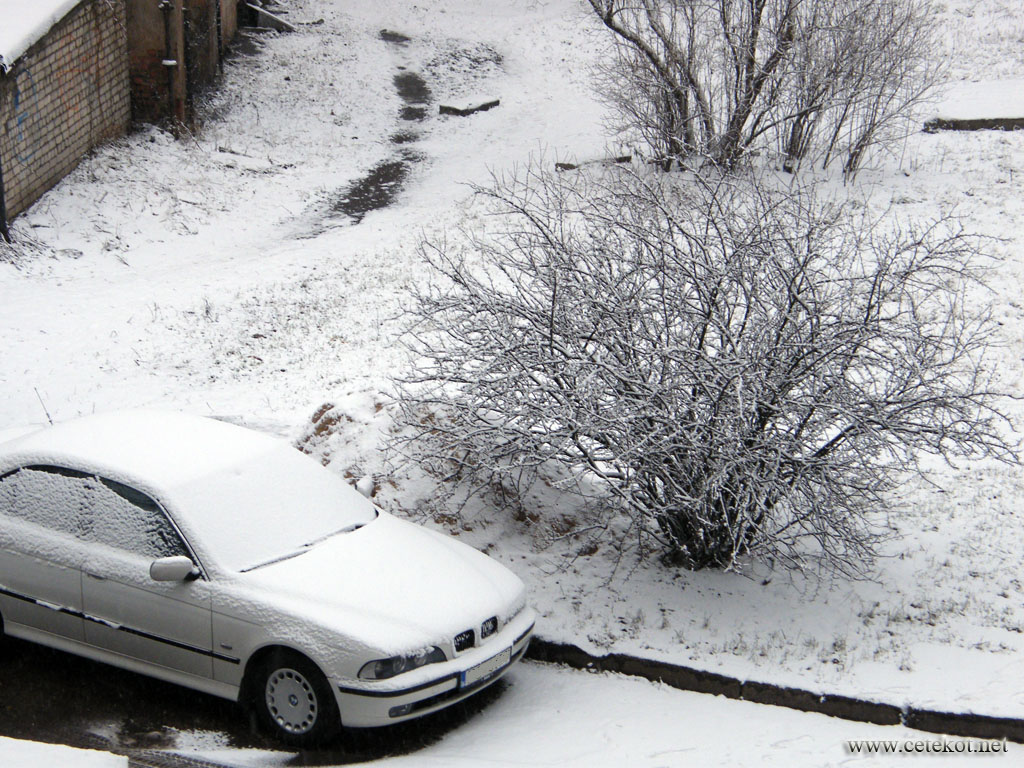 Новогодний снег, органично смотрится только Бэха, 31.12.2007