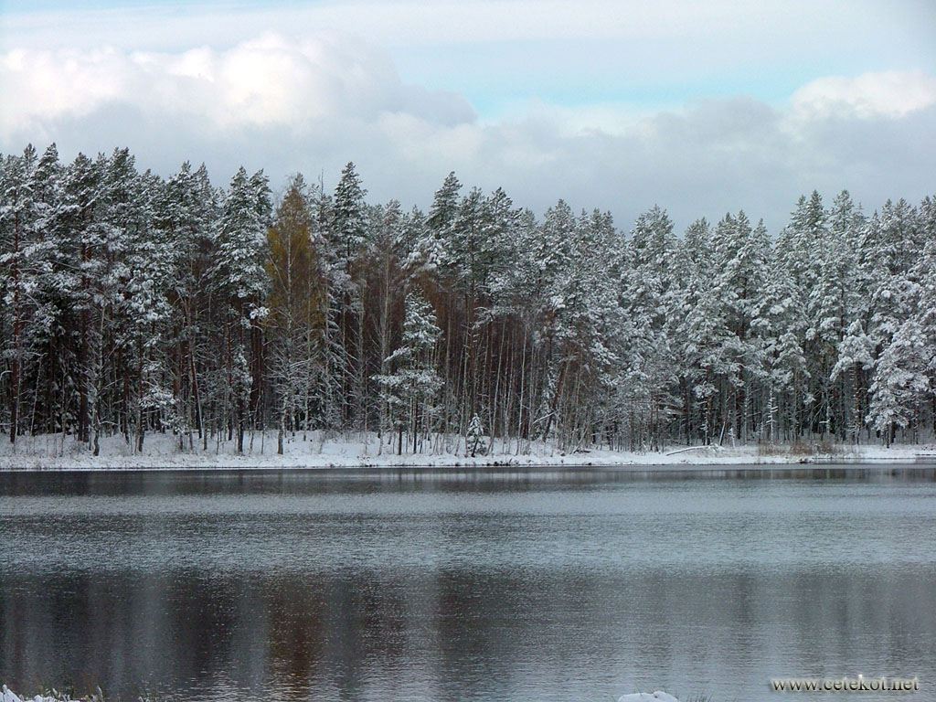 Зимний лес и незамерзшее озеро ( 3-е ноября ).