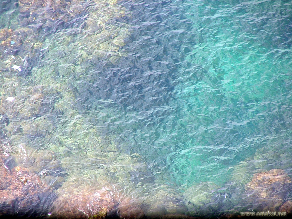 Lloret de Mar. Нереально прозрачная вода Средиземного моря.
