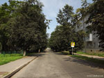 Новгород: просто зелёная улица.