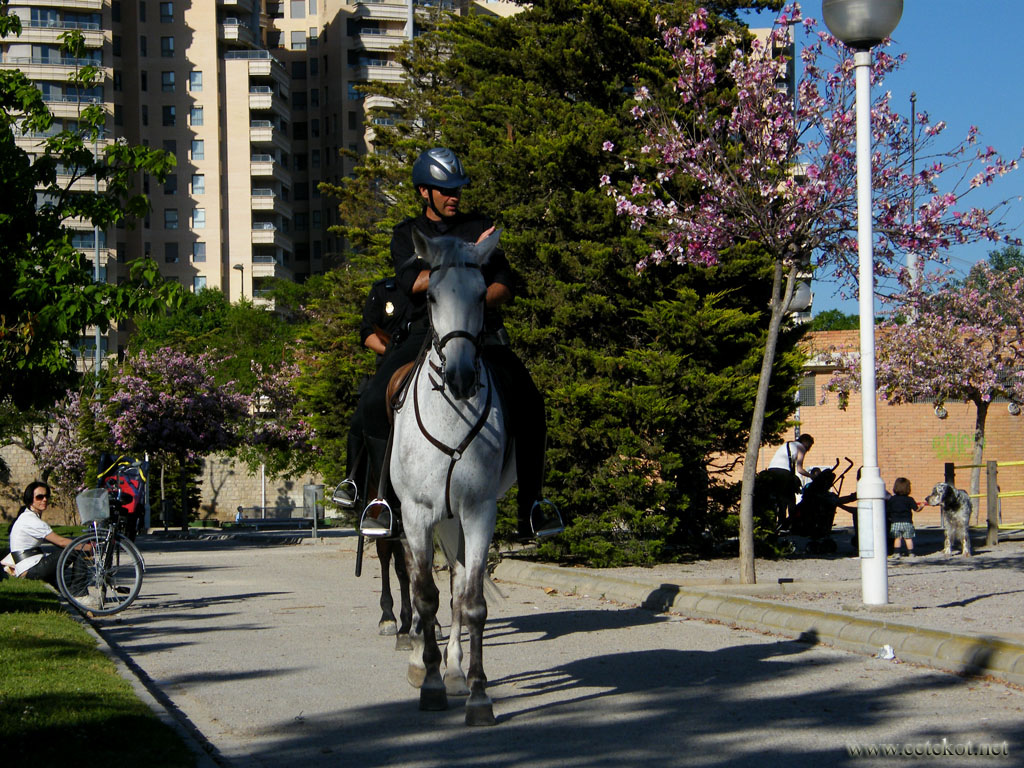Валенсия: конная полиция.