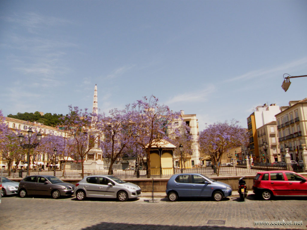 Малага: Plaza de la Merced.
