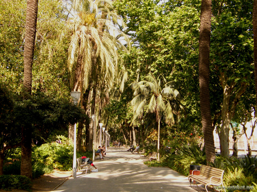 Малага: парк на calle de los Curas.