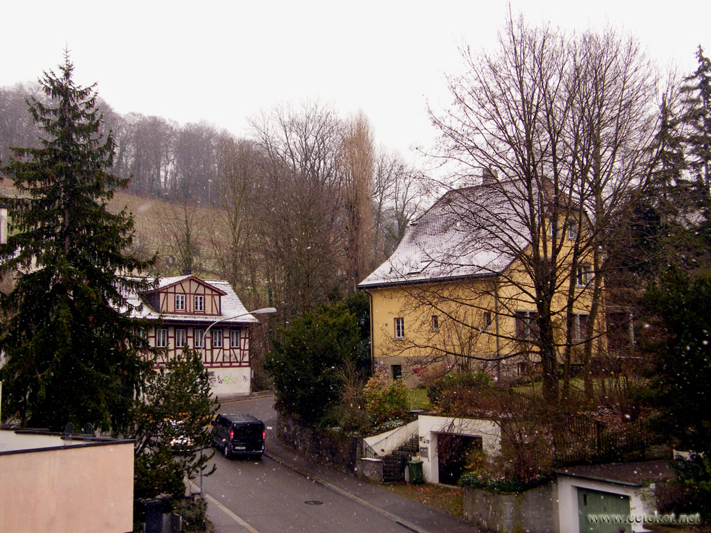 Цюрих. Первый снег в декабре.
