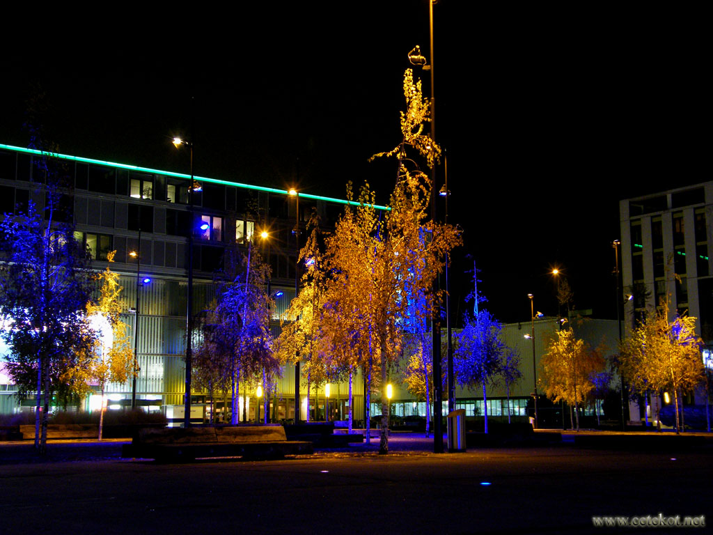Цюрих. Ночной Технопарк - разноцветные деревья.
