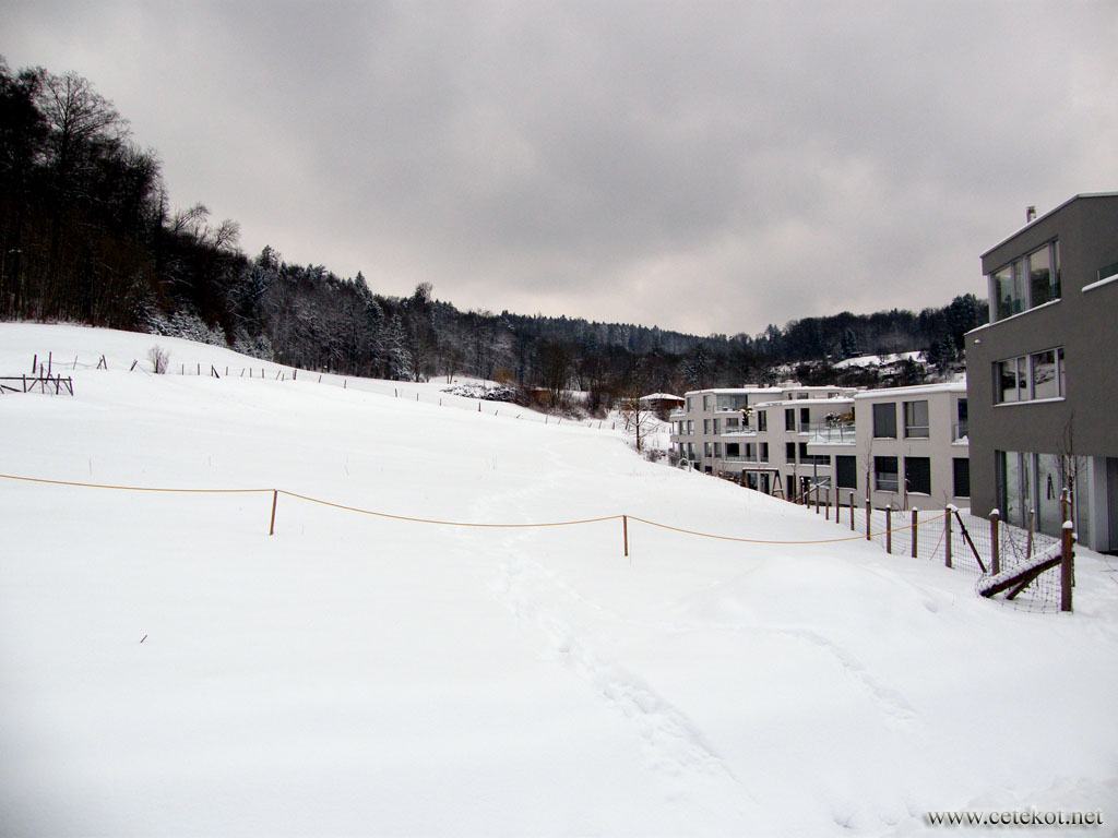 Цюрих: снег в марте, на холме - красота!