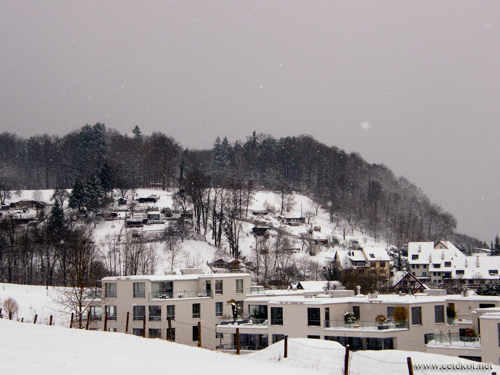 Цюрих: заснеженные холмы Albisrieden.