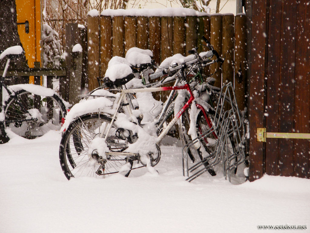 Цюрих: снег в марте, подарок велосипедистам.
