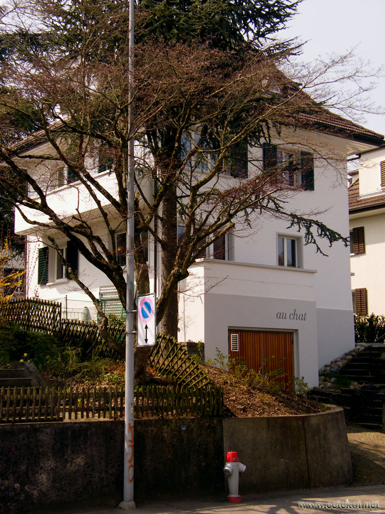Цюрих: дом-башня на Triemlistrasse.