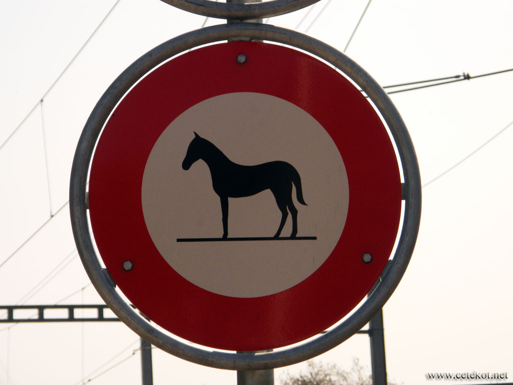 Цюрих: на лошадях в Triemli не пускают.
