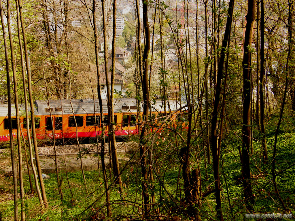 Цюрих: подозрительный поезд в кустах Triemli.