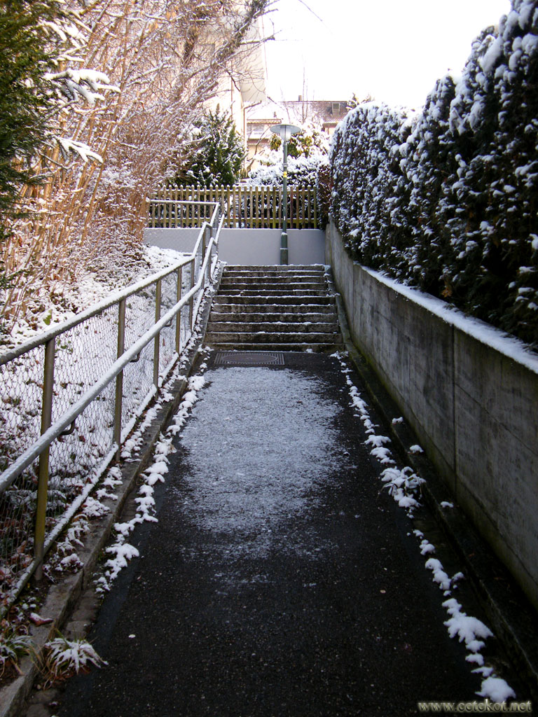 Зима 2011 в Цюрихе, дорожки - чистят.