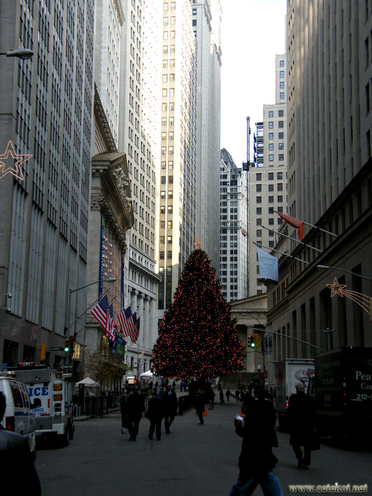 Нью Йорк: Рождественская ёлка.
